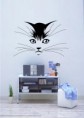 gato